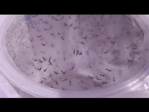 'We're likely going to see more than the past two years' Metropolitan Mosquito Control District give
