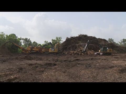 Houston's cleanup of Hurricane Beryl debris estimated to cost $100 million