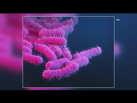 CDC issues warning about rise in infections of drug-resistant stomach bug