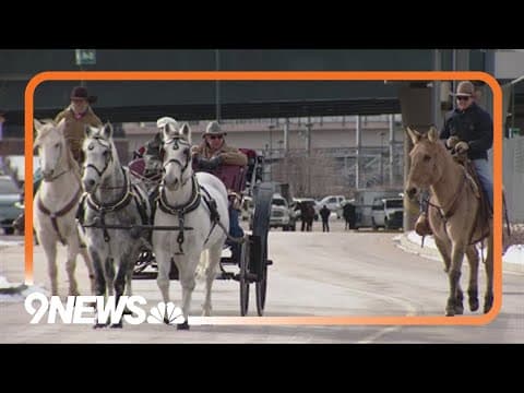 Stock Show parade marches through Denver despite snow, cold temps