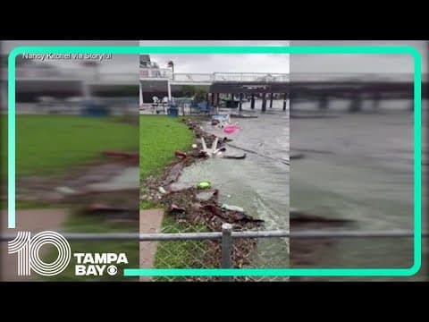 Downed trees and flooding in Galveston, Texas after Beryl hits