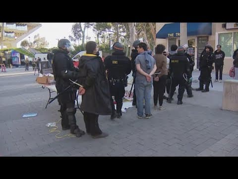 Police dismantle UC San Diego encampment, arrest protestors on campus