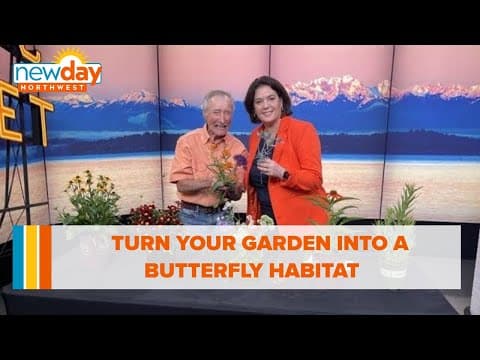 Turn your garden into a butterfly habitat with these tips and plants - New Day NW