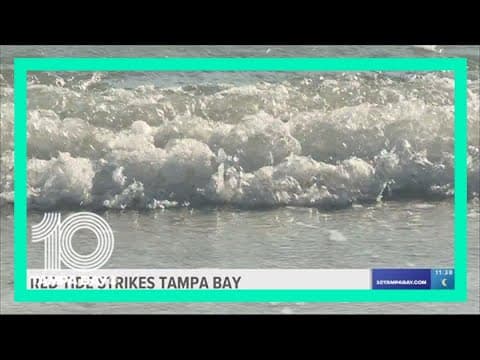 Red tide continues to impact Tampa Bay area beaches for spring breakers