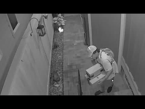 Homeowner says squatter caught red-handed with stolen packages