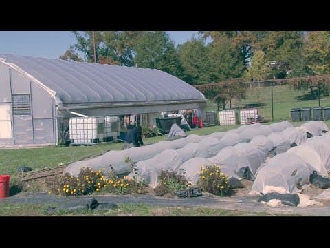 A local nonprofit is working to provide fresh-grown produce in DC