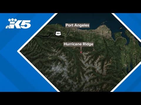 4-year-old injured in cougar attack in Olympic National Park