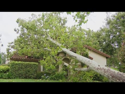 Clean-up underway in San Diego after Tropical Storm Hilary