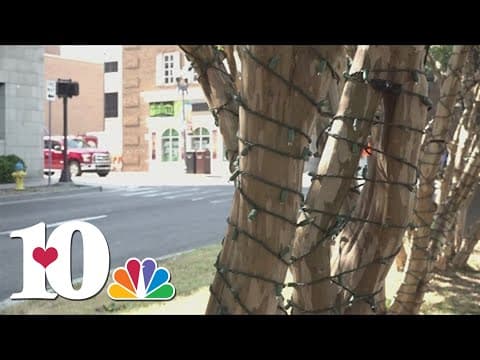 Knoxville crews wrapping trees in holiday lights, will continue decorating into November