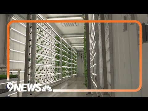 This group is growing baby trees in a shipping container to help reforest Colorado's burn scars