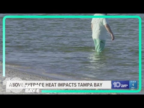 Above average heat impacts the Tampa Bay area