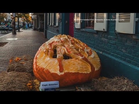 Annapolis Pumpkins