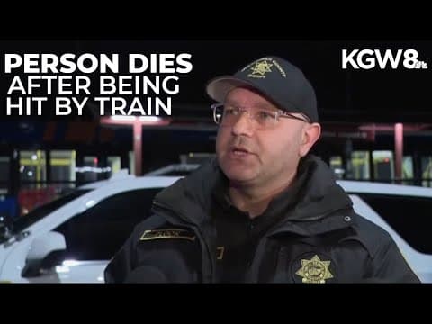 1 hit, killed by train at Portland's Delta Park Transit Station