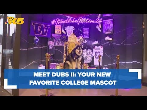 UW football wins on the field, but mascot Dubs II wins hearts everywhere