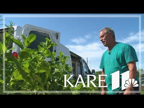 Minnesota farmers say rainy spring is a welcomed change of pace after last year's drought