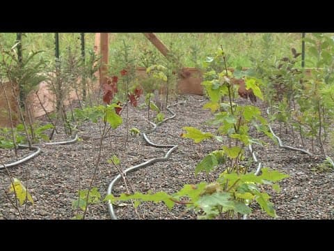 Local nonprofit expanding efforts to help Native American community