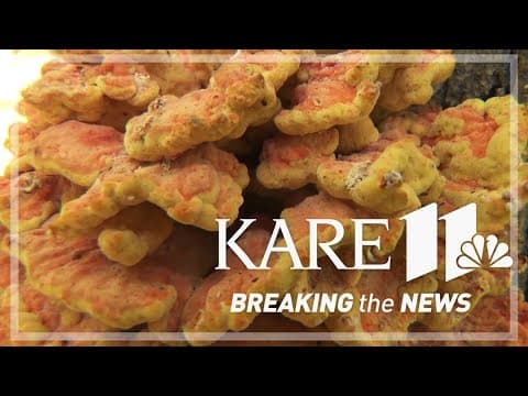 DNR considering foraging cap