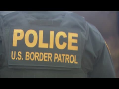 88 people detained after attempting to cross U.S.-Mexico border illegally