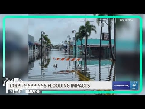 Tarpon Springs businesses recover from 'most severe flooding in decades'