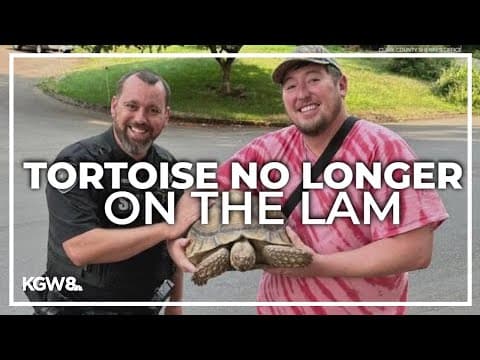 Runaway tortoise back home in Clark County