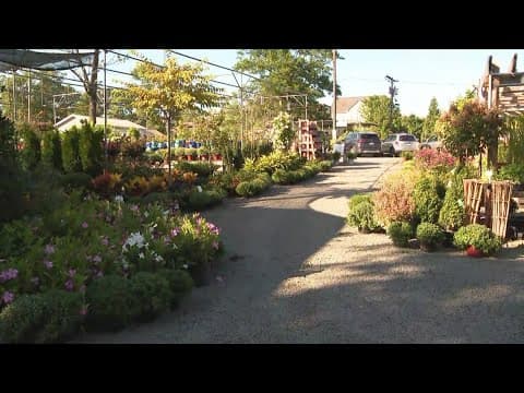 Nalls Produce is prepping for Fall season