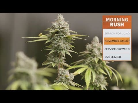 Activists say they have enough signatures to put marijuana decriminalization on the ballot