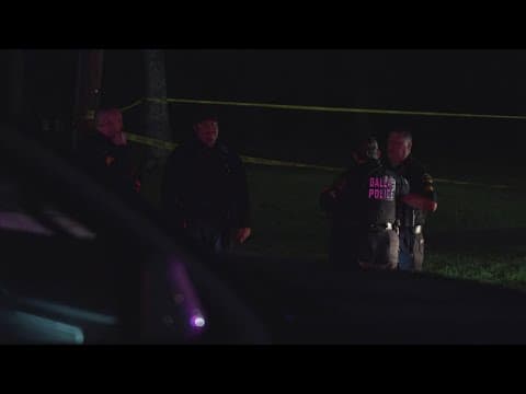 3 people shot at Dallas home, police say