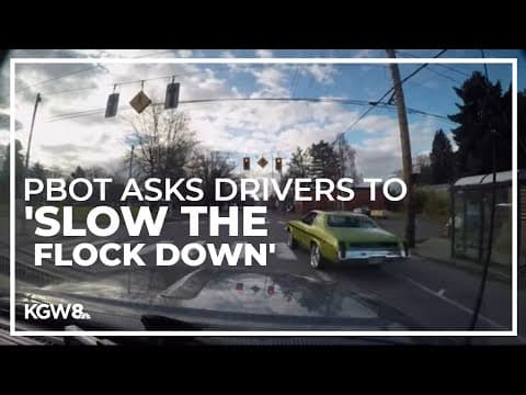 PBOT campaign urges drivers to 'Slow the Flock Down'