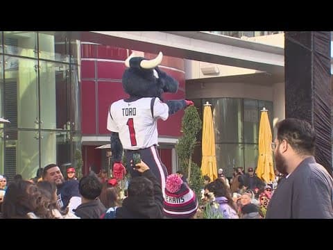 Texans fans excited about franchise's future