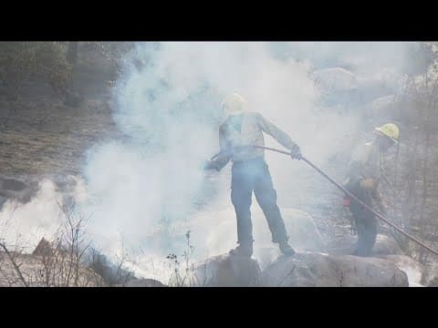 Bunnie Fire in Ramona stopped at nearly 200 acres, 20% contained