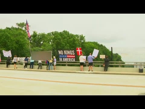 Thousands show up to 'No Kings' protests in Northern Virginia