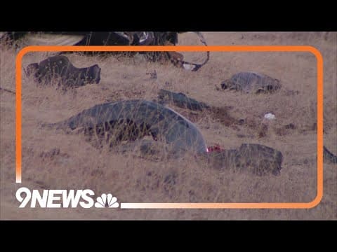 Colorado crash kills 3 student athletes from University of Wyoming