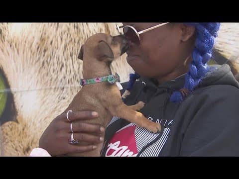 Homeless individuals receive blankets and sweaters for their pets