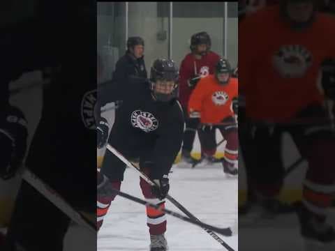 Hockey neck guards sell out after professional player dies in a game