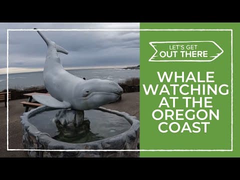 Whale watching struggles at the Oregon Coast | Let's Get Out There