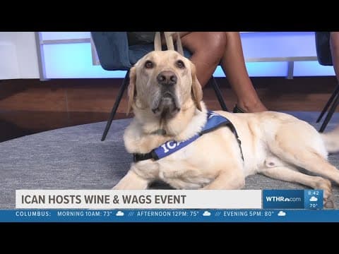 ICAN hosting Wine & Wags event in hopes of giving more animals a home