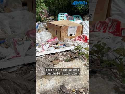 Progress made but fight not over against N.O. East dumping