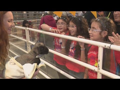 'AgVenture' exhibit at RodeoHouston showcases agriculture, live animals