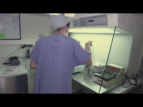 Louisiana lawmakers attempt to protect IVF