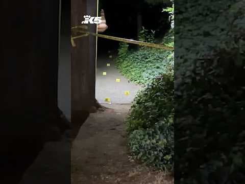 Two dead in Burien triple stabbing