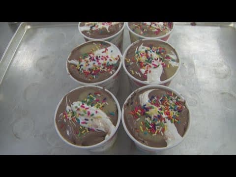 New 'Elsie's Pint' ice cream to support pediatric hospice home