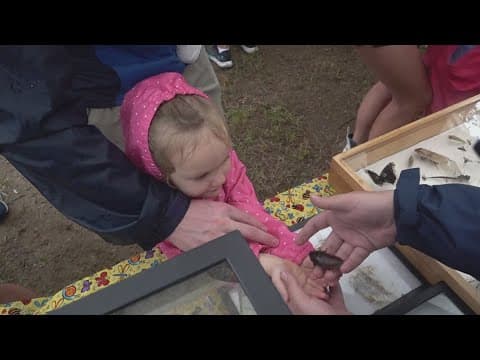 UT hosted 10th annual butterfly festival, connecting people with the environment