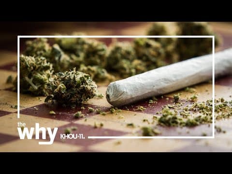 Why is marijuana listed among the world’s deadliest drugs?