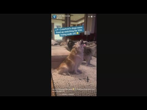 J.P. Crawford's dogs proud of their dad