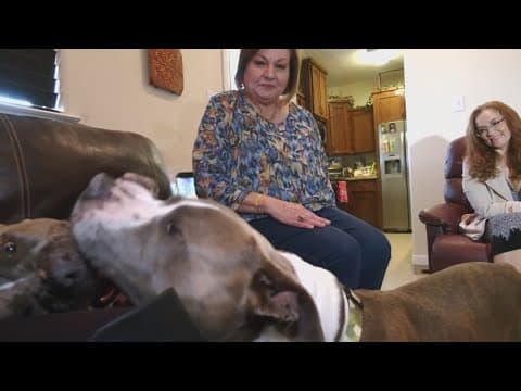 Lost dog returned to her family years after she was lost
