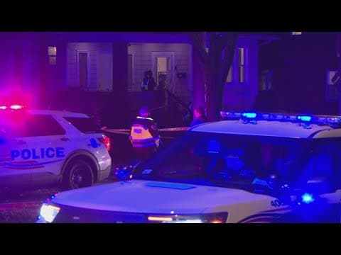 DC Police shoot, kill dog who charged at and bit officer in Northwest