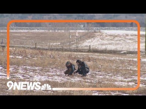 How mushrooms can help reduce wildfire risk