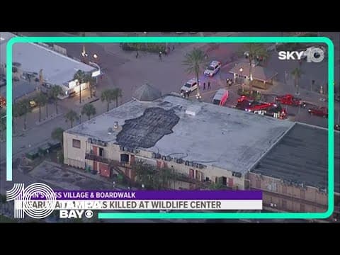 Fire kills 'nearly all' animals at wildlife center near John's Pass