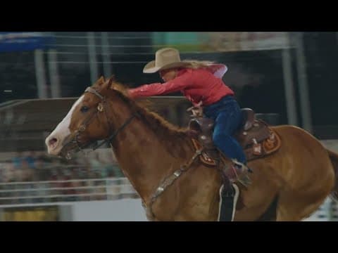 San Diego County Democratic Central Committee calling on the city to ban upcoming rodeo at PETCO Par