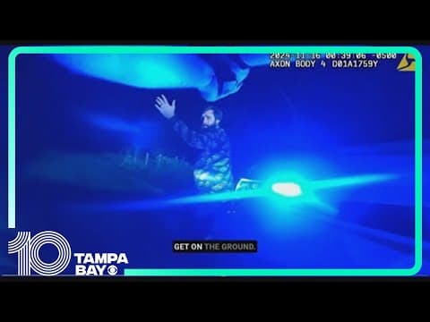 Man arrested after hitting Hillsborough County deputy's patrol car in Zephyrhills, agency says